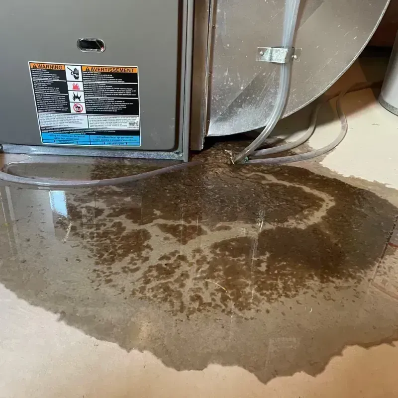 Appliance Leak Cleanup in Carbondale, IL